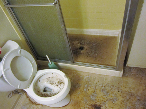 Water Damage Restoration