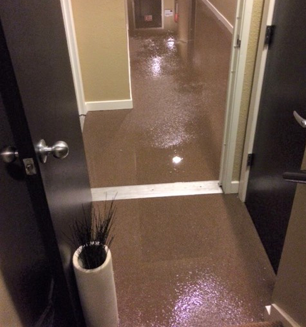 Water Damage Restoration