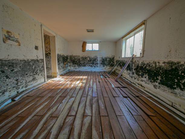 Water Damage Restoration Seattle