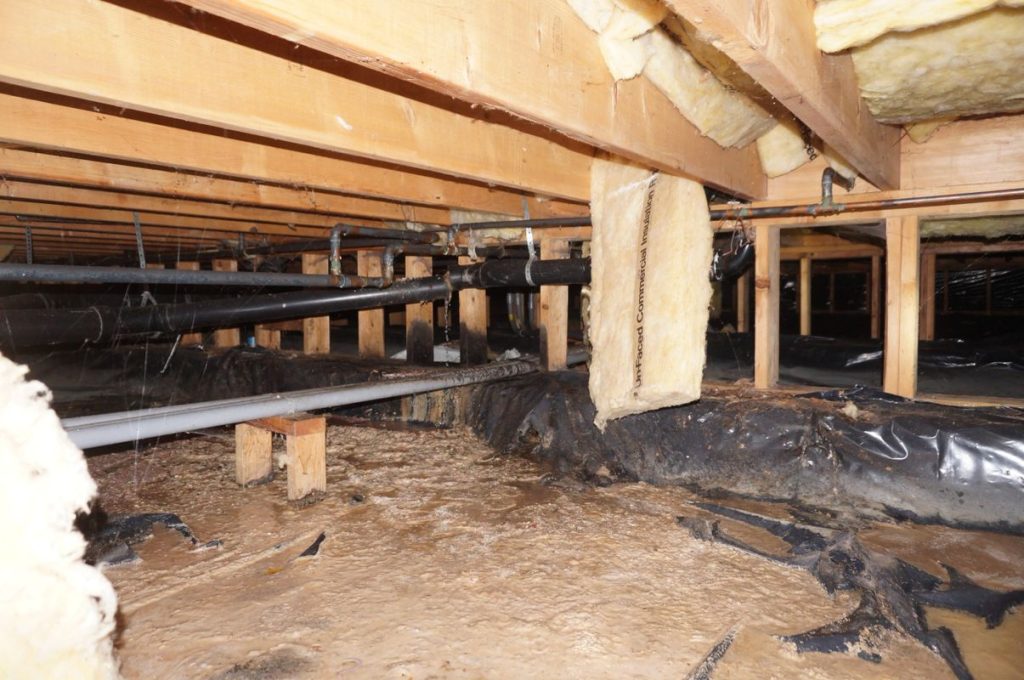 Water Damage Restoration Seattle