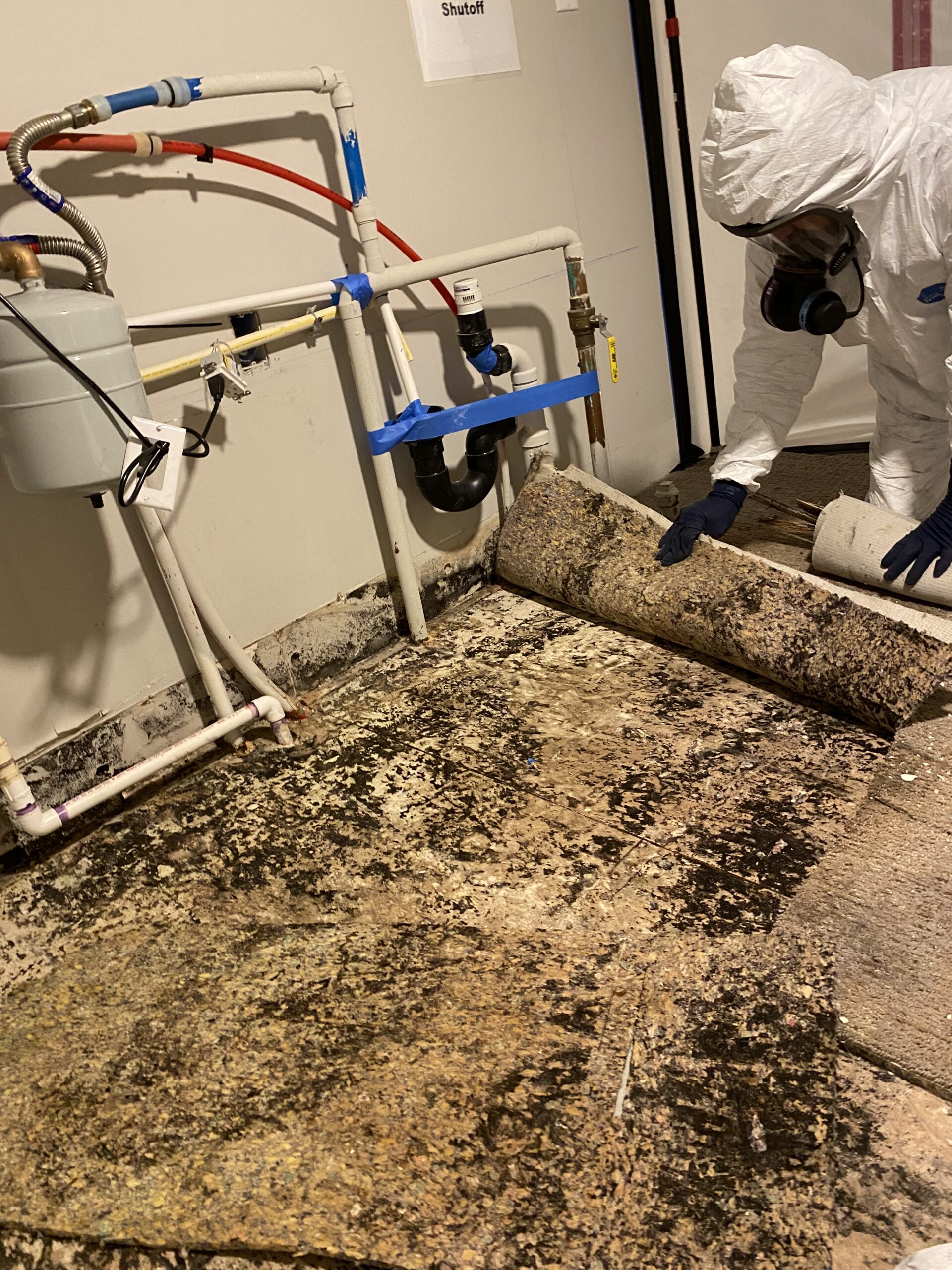 Water Damage Restoration Seattle