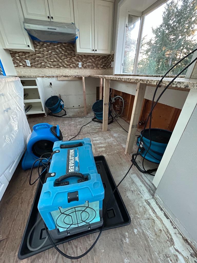 Water Damage Restoration Seattle